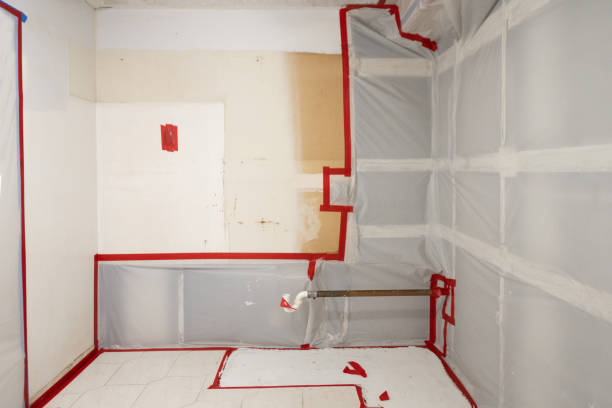 Forensic Mold Investigation in Willow Oak, FL